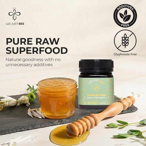 250g/8.8oz Immune, 400+ Manuka Honey for Dogs Premium New Zealand Dog Food Topper & Natural Treat | Raw Honey for Dogs