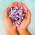 Tummydrops, 33 Lozenges No Sugar Sweet Blackberry Ginger Flavor, Gluten Free & Vegan, Individually Wrapped Organic