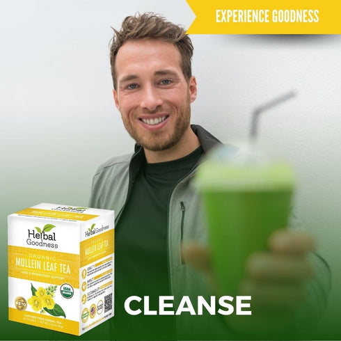 Immune 24 Mullein Leaf Tea - Organic Mullein Tea Bags For Lungs, Respiratory Health, Digestive System, System, Supports