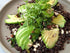 Cereausly 10 LB Organic Black Quinoa Premium Royal Quinoa from Bolivia Kosher and Non-GMO Quinoa Bulk Vegan