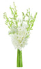KaBloom Prime Delivery : Bouquet of White Orchid for Sympathy, Wedding, Anniversary,