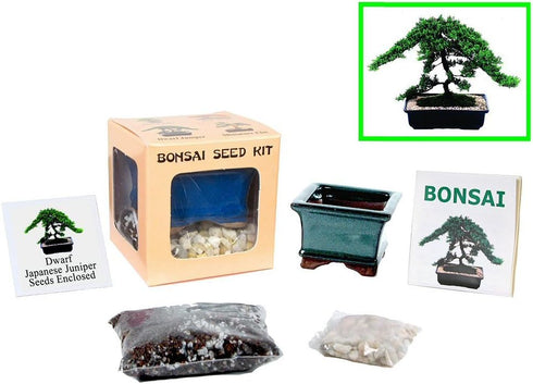 Eve's Garden, Inc Eve's Dwarf Japanese Juniper Bonsai Seed Kit, Woody, Complete Kit to Grow Dwarf Japanese Juniper