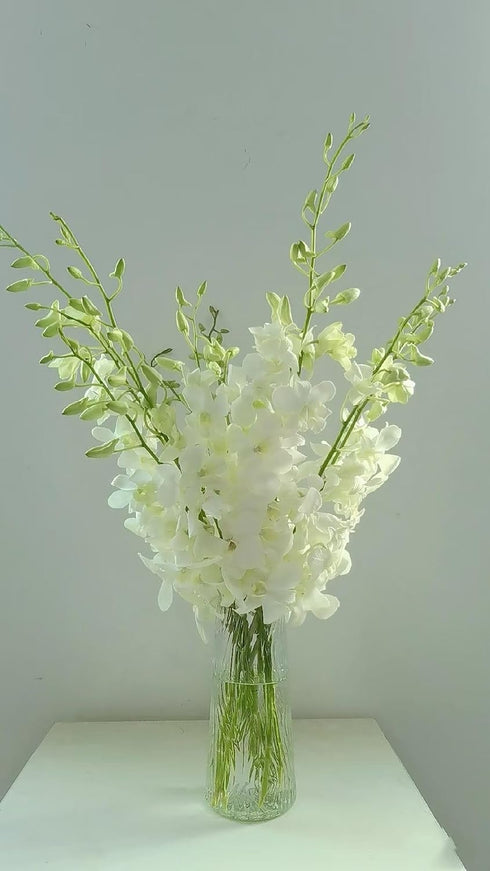 20 Elegant Stems of Fresh White Dendrobium Orchids - Perfect for Any Occasion