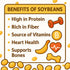 Crazy Nuts 5lb | USA Grown Non GMO Soybeans, | Soybeans for Soy Milk and Tofu