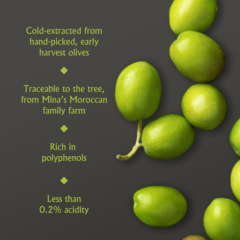 16.9 Oz (Pack 6), 0.2% 500 ml Mina Moroccan Olive Oil Extra Virgin Fl of New Harvest, Polyphenol Rich Olive Oil, Single