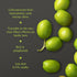 16.9 Oz (Pack 6), 0.2% 500 ml Mina Moroccan Olive Oil Extra Virgin Fl of New Harvest, Polyphenol Rich Olive Oil, Single