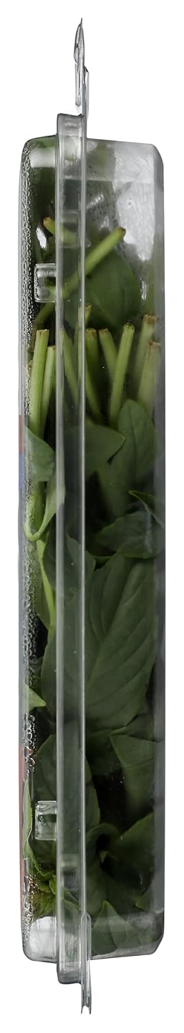0.5 OZ Soli Organic Thai Basil