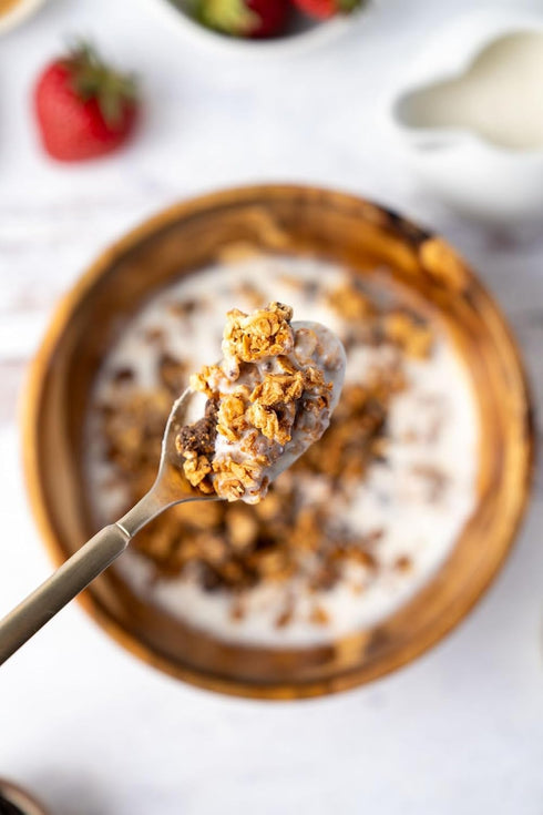 11oz Jessicas Chocolate Chip Granola - Handmade, Non-GMO, Gluten-Free, Whole Grain
