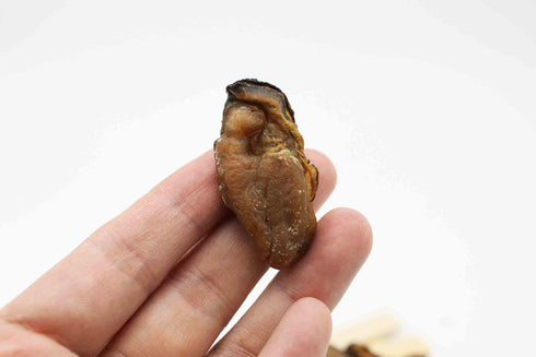 Grand Gift (250 Dried Seafood Dried Food Dried Premium Korean Oysters Free Worldwide Air Mail grams)