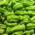 Tropical Importers (2 Fresh Cubanelle Peppers Sweet Cuban Capsicum Annuum Pounds) Perfect for Cooking, Frying
