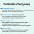 GAGOPA Korean Chicken Stew Samgyetang Herb Kit, Healthy Food Chicken Soup Ingredients, Easy Cooking (100g)