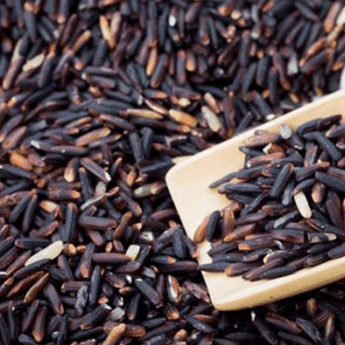 2lb Black Sweet Rice Black Wild Sweet Rice Sticky Rice Glutinous Rice