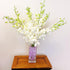 10 Athenas Garden Fresh Cut White Orchids Stems Dendrobium Orchids Flowers with Vase and Rocks