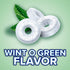 Summer 13 Oz Life Savers Wint-O-Green Candy Individually Wrapped Hard Mints, Sharing Size, Bag