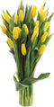 KaBloom PRIME OVERNIGHT DELIVERY - WEDDING COLLECTION - PREMIUM 20 Yellow Tulips.
