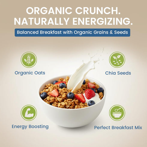 GINA Bio GINA Organic Granola Classic Vegan with toasted oats & seeds- Crunchy granola adds texture & flavor