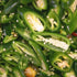 Blake Hill Preserves 10 oz, Jalapeo & Lime Spicy Chili Jam - Gluten-Free, Reduced Sugar, Organic Chilis