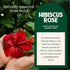 VAHDAM Hibiscus Rose Tea Bags - 100% Whole Hibiscus Flowers Herbal Tea Bags (100 Count) with Rose, Chamomile & Spices