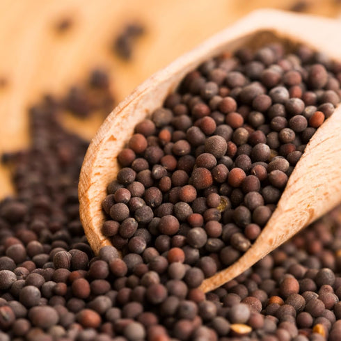 8 oz, Unpretentious Brown Mustard Seeds, Sharp & Strong, Condiments & Sauces, Versatile Seasoning