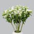 Cassiolina 10 Stem Fresh Cut Blue Star Flowers Tweedia Bouquet Stems for Wedding Floral Arrangement Home Decoration