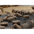 Inspiration Industry 28 Oz (793 (1 PACK) Brown & Haley Almond Roca The Original Buttercrunch Toffee With Almonds g)