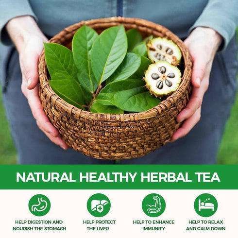 WOTIHA 45 Count 100% Premium Soursop Graviola Tea Bags - Natural soursop leaves, Non-GMO, Caffeine/Sugar/Gluten Free