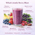 10 Berry Blast Smoothie Mix Freeze Dried Fruit Smoothie Powder for Smoothies & Shakes, Just Add Water or Milk, Servings