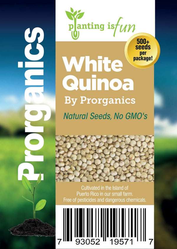 Prorganics 500 Natural white Quinoa Seeds