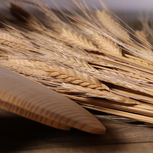 2lbs (Pack 3) Organic Stone Ground Whole Wheat Einkorn Flour