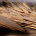 2lbs (Pack 3) Organic Stone Ground Whole Wheat Einkorn Flour