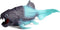 Flormoon Animal Figures, 1pcs Rubber Dunkleosteus Action Model, Stress Relief Educational Toy for Kids