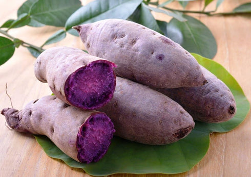caribbeangardenseed (1 LB)Excellent Japanese Purple Sweet Potato yields and flavor. Stores well.