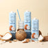 (6-Pack 1L), Real Coco Organic Original Coconut Milk Beverage USDA Organic, No-Added Sugar, Plant Based, Dairy & Soy