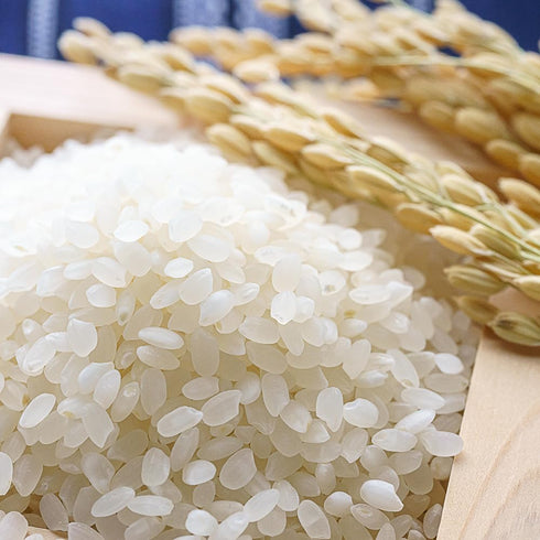 (4.4 lbs) Kagayaki Organic Rice | California White Short Grain | Kapika Processed | Ideal for Health-Conscious Cooking