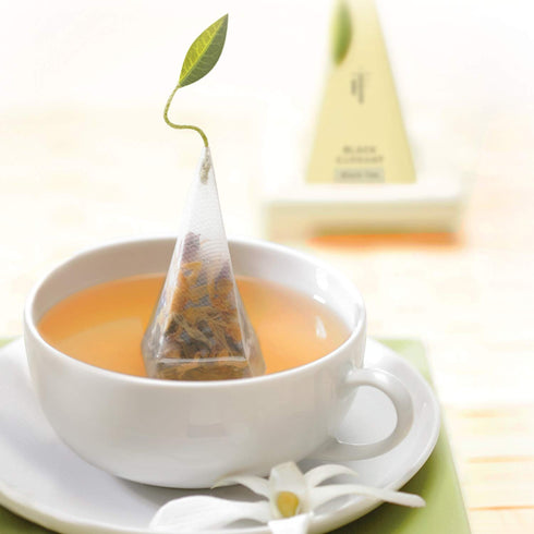 Tea Forte Herbal Retreat Organic Caffeine Free Premium Herbal Tea Gift Set, 10 Handcrafted Pyramid Infusers