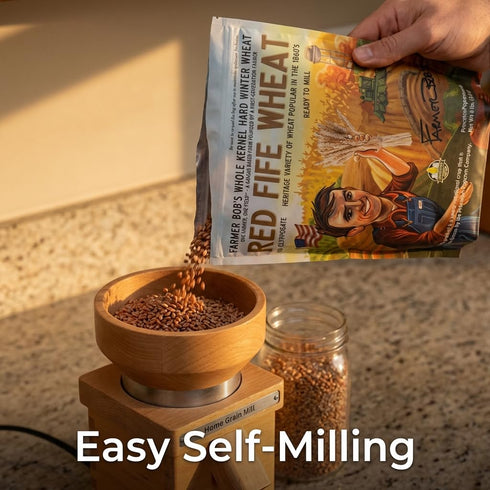 5lb Red Fife Hard Red Winter Wheat Hard Red Wheat Berries Whole Wheat Berries Bulk Heirloom Non-Hybrid Non-GMO Heritage