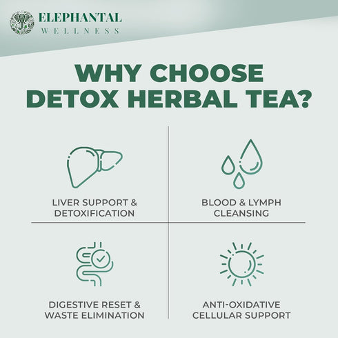 Elephantal Wellness 4oz, 40 Premium Detox Herbal Tea | Daily Liver, Kidney, Blood & Digestive Support with Turmeric