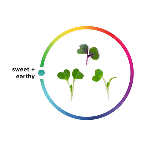 2 AeroFarms, Microgreens Super Mix Hearty Kale Cabbage Conventional, Ounce