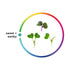 2 AeroFarms, Microgreens Super Mix Hearty Kale Cabbage Conventional, Ounce
