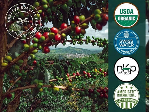 40 Artizan Coffee Decaf Organic Swiss Water Espresso Pods for Nespresso Original | Heavenly Project | Compostable