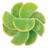 NY Spice Shop Key Lime Fruit Slices Candy - 3 Pound Sweet
