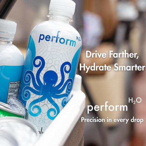 PerformH2O 33 (<33), 16.9 OZ/500ML (Pack 12) The Evolved Co.s Performance Water with Below Frequency Technology