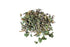eSutras Organics Holy Basil, Krishna Tulsi, Organic Dried Leaf, Great for Cooking or Herbal Tea, 3 oz