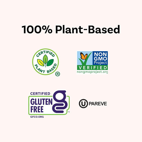 5.5 oz (Pack 12) Daiya Dairy Free Gluten Free Herb and Garlic Mac & Cheese, Vegan Plant Based Rice Pasta