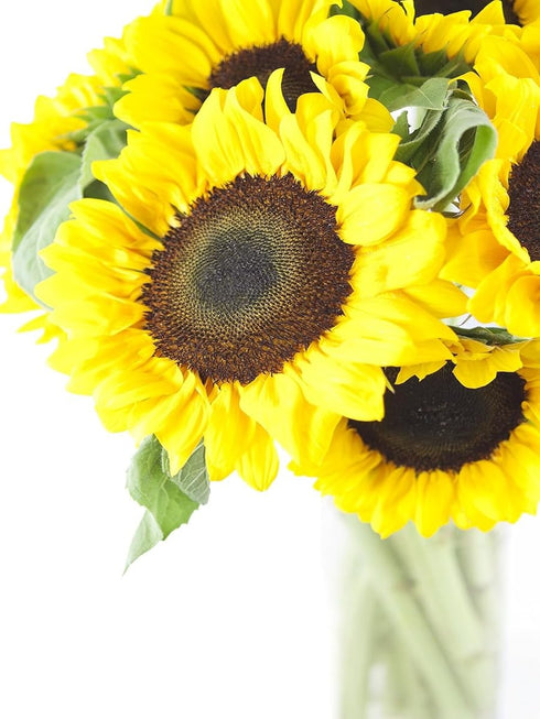 Vibrant Sunflower Bouquet with Vase - Perfect for Celebrations and Special Occasions