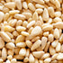 6 Oz (170g) Nutural World - Crunchy Pine Nut Butter Great Taste Award winner