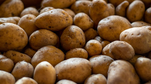 Generic RUSSET 20 LBS POTATOES | Fresh Produce | Bulk | Grown in USA
