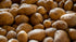 Generic RUSSET 20 LBS POTATOES | Fresh Produce | Bulk | Grown in USA