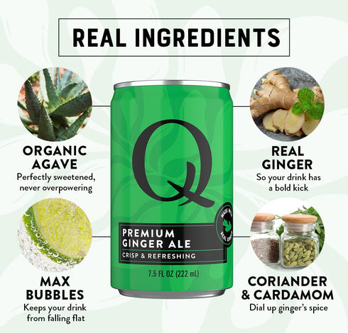 60 7.5 oz (Pack 24) Q GINGER ALE with Real Ginger & Organic Agave - Ideal for Cocktails & Mocktails - Made with Real
