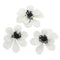 Global Sugar Art Poppy Anemone Sugar Cake Flowers White with Black Center,